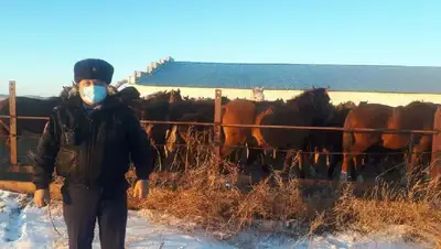 Штрафстоянка, фото - Новости Zakon.kz от 26.01.2022 18:17