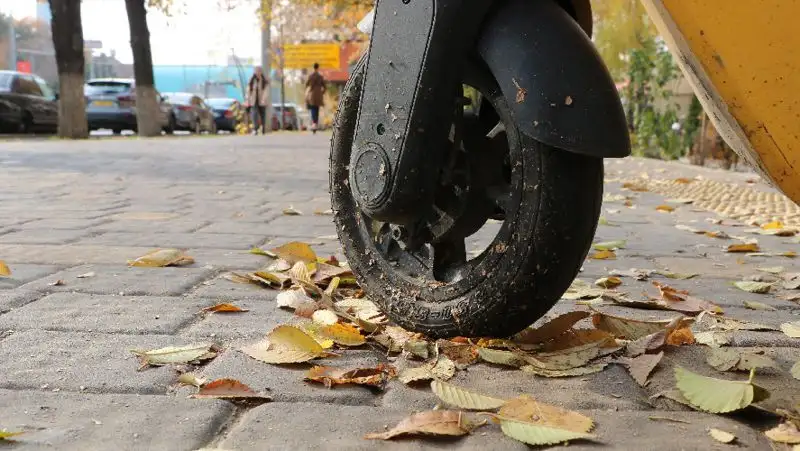 Нарушение ПДД самокатчиком попало на видео – ему грозит штраф