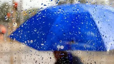 Zakon.kz, фото - Новости Zakon.kz от 03.06.2017 12:00