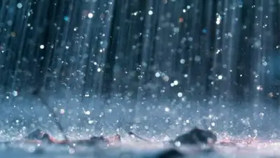 gosritual.su, фото - Новости Zakon.kz от 07.03.2018 12:38