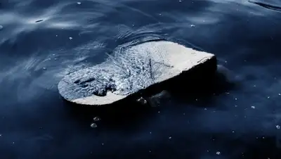 Pixabay, фото - Новости Zakon.kz от 20.07.2019 13:00