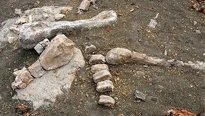 Zakon.kz, фото - Новости Zakon.kz от 30.09.2014 21:25