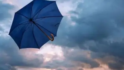 pixabay.com, фото - Новости Zakon.kz от 15.08.2020 14:29