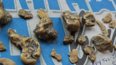 Zakon.kz, фото - Новости Zakon.kz от 16.08.2015 06:47