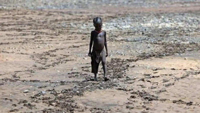 Кения объявила национальное бедствие в связи с засухой