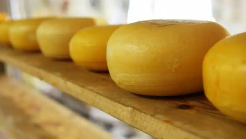 Чем опасен сыр для здоровья