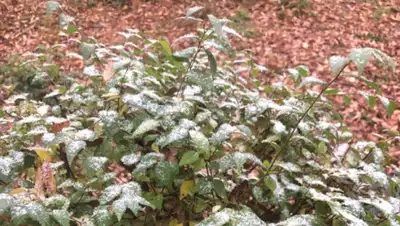 Zakon.kz, фото - Новости Zakon.kz от 05.11.2019 09:06