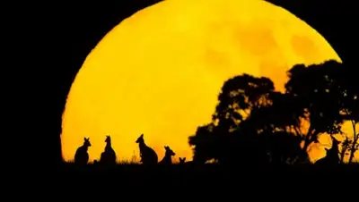 Zakon.kz, фото - Новости Zakon.kz от 25.08.2015 17:42