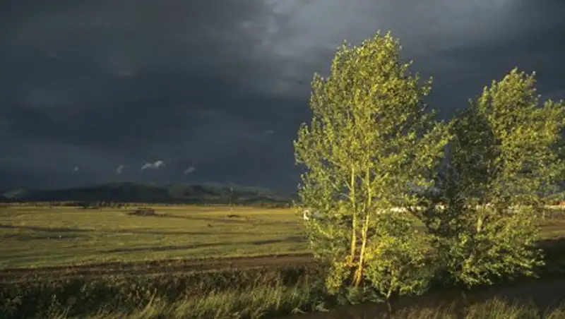 На большей части Казахстана 27 июля сохраняются дожди с грозами