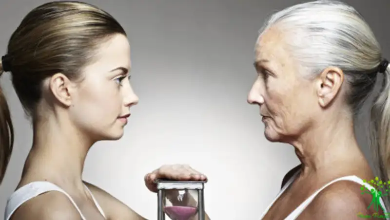 Таблеткой от старости оказался яд