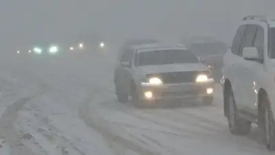 Zakon.kz, фото - Новости Zakon.kz от 30.03.2017 19:57