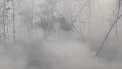 Пожары в Костанайской области: угроза населенным пунктам снята, фото - Новости Zakon.kz от 06.09.2022 09:49