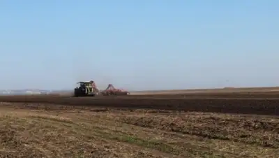 Zakon.kz, фото - Новости Zakon.kz от 31.05.2015 18:40