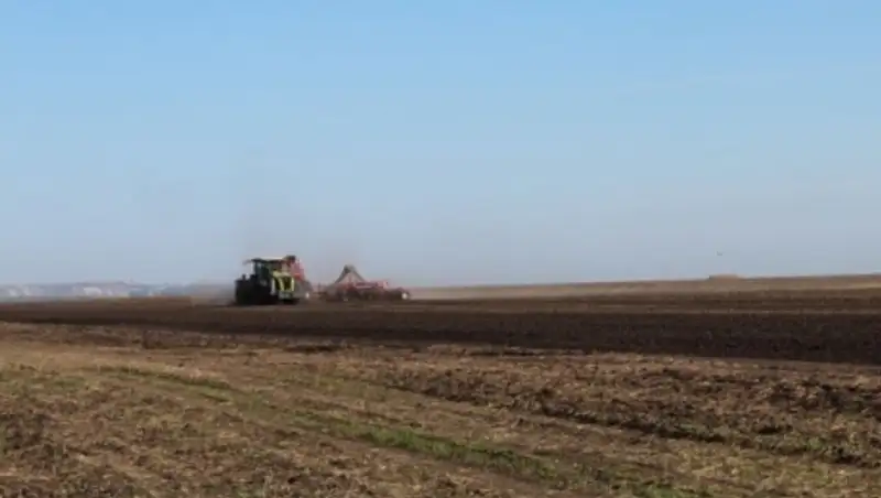 В Костанайской области засеяли 1,5 млн гектаров зерновых культур