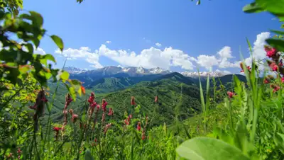 zakon.kz., фото - Новости Zakon.kz от 09.07.2020 07:00