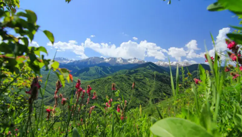 9 июля в Казахстане ожидается погода без осадков