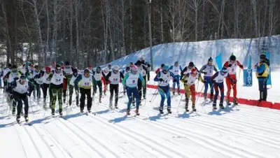 Zakon.kz, фото - Новости Zakon.kz от 28.12.2017 17:03