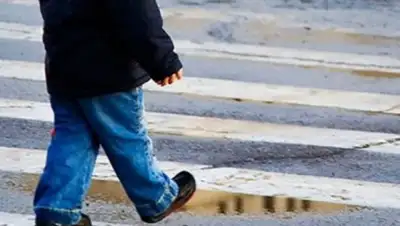 alau.kz, фото - Новости Zakon.kz от 01.06.2018 21:43