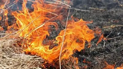 svidetel24.info, фото - Новости Zakon.kz от 04.06.2018 23:13