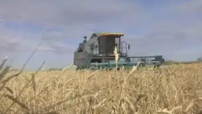 Zakon.kz, фото - Новости Zakon.kz от 09.10.2015 05:09