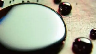 Zakon.kz, фото - Новости Zakon.kz от 07.10.2014 17:36