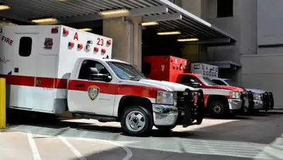 pixabay, фото - Новости Zakon.kz от 30.12.2019 06:34