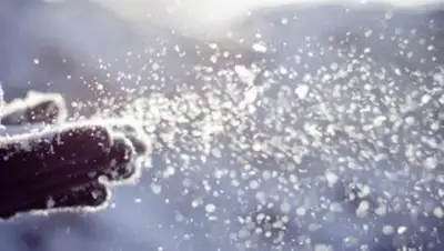 24 Канал, фото - Новости Zakon.kz от 30.11.2018 12:01