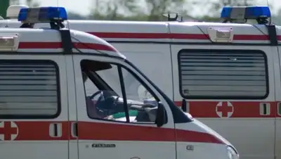 Фото: Вести.Ru, фото - Новости Zakon.kz от 23.12.2017 13:40