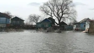 inform.kz, фото - Новости Zakon.kz от 15.04.2021 13:42