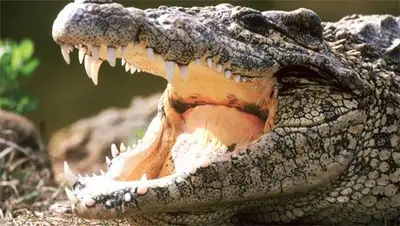 Zakon.kz, фото - Новости Zakon.kz от 06.03.2014 18:38