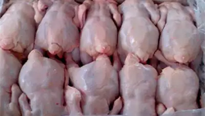 Zakon.kz, фото - Новости Zakon.kz от 30.04.2015 17:10