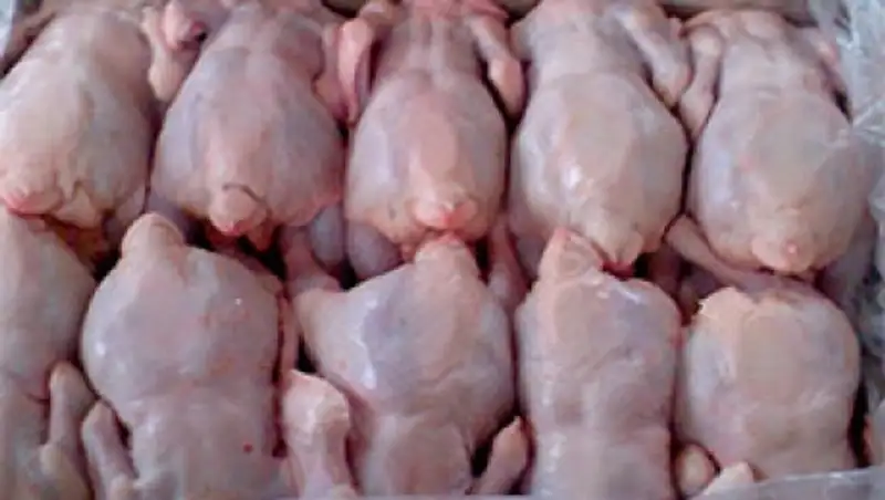 Минсельхоз РК временно ограничивает ввоз птицеводческой продукции из Астраханской области