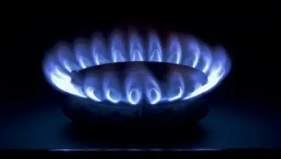 Zakon.kz, фото - Новости Zakon.kz от 04.11.2014 16:06