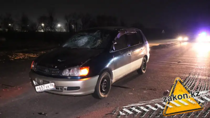 Смертельный наезд произошел на трассе в Алматинской области