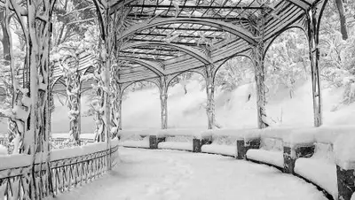 Zakon.kz, фото - Новости Zakon.kz от 16.11.2017 14:32