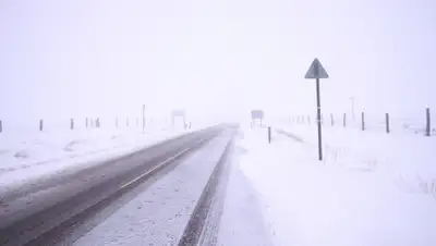 express-k.kz, фото - Новости Zakon.kz от 23.01.2020 19:01