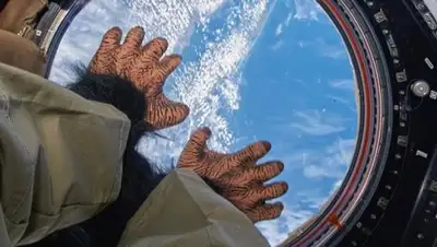 Zakon.kz, фото - Новости Zakon.kz от 01.04.2018 22:11