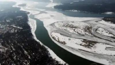 inform.kz, фото - Новости Zakon.kz от 08.01.2019 21:42