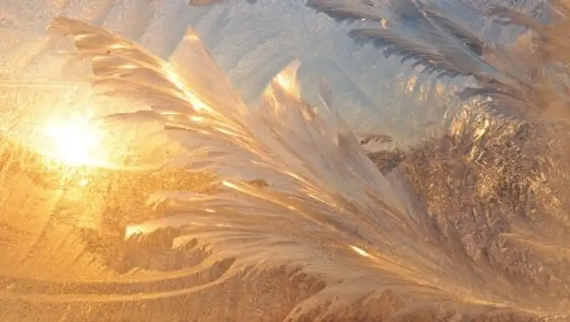 Школьные занятия отменены в нескольких городах