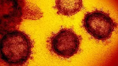 Istock, фото - Новости Zakon.kz от 21.11.2020 21:15