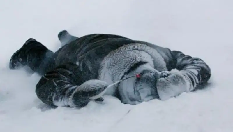 А&#1179;мола облысында &#1199;сіп кеткен ер адамны&#1187; м&#1199;рдесі табылды 