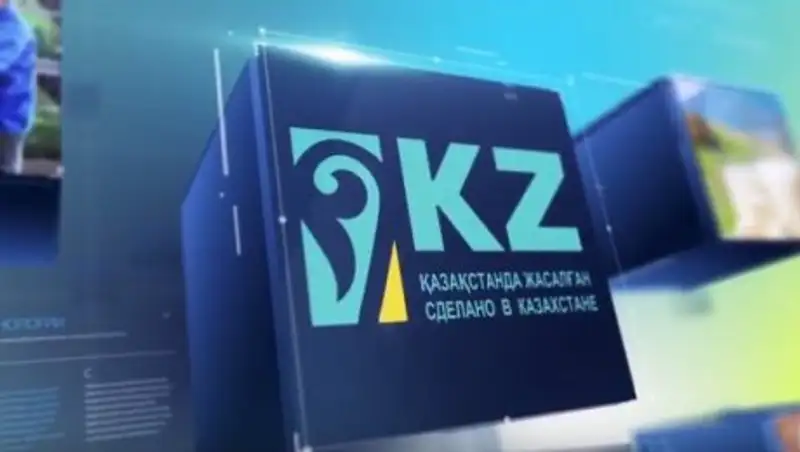 Назарбаев о бизнесе в РК: Не умеем рекламировать и пользоваться нашей продукцией