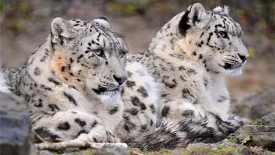 Zakon.kz, фото - Новости Zakon.kz от 25.07.2014 20:54