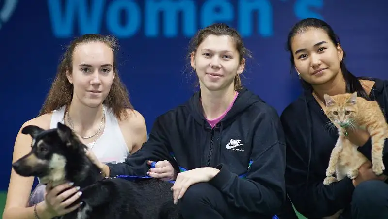 Теннисистки провели акцию в поддержку бездомных животных