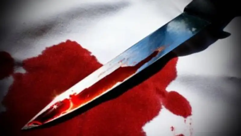 В Костанайской области мужчина зарезал своего знакомого