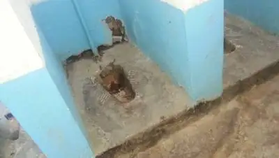 theopenasia.net, фото - Новости Zakon.kz от 26.01.2021 14:23