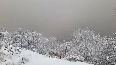 алматы, горы, лавиноопасно, снег, дчс, предупреждение, фото - Новости Zakon.kz от 15.02.2022 10:01