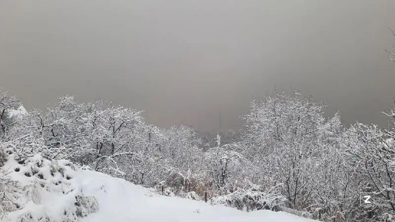 В горах Алматы лавиноопасно – ДЧС