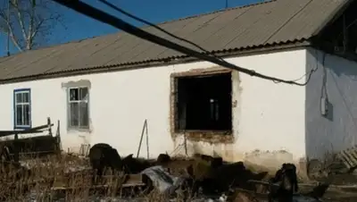 Zakon.kz, фото - Новости Zakon.kz от 28.12.2014 00:55