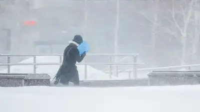 снег, человек, фото - Новости Zakon.kz от 12.01.2023 15:59